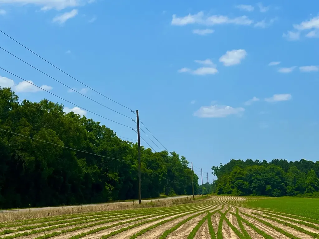 0 Rocky Creek Road Ashford AL 36312