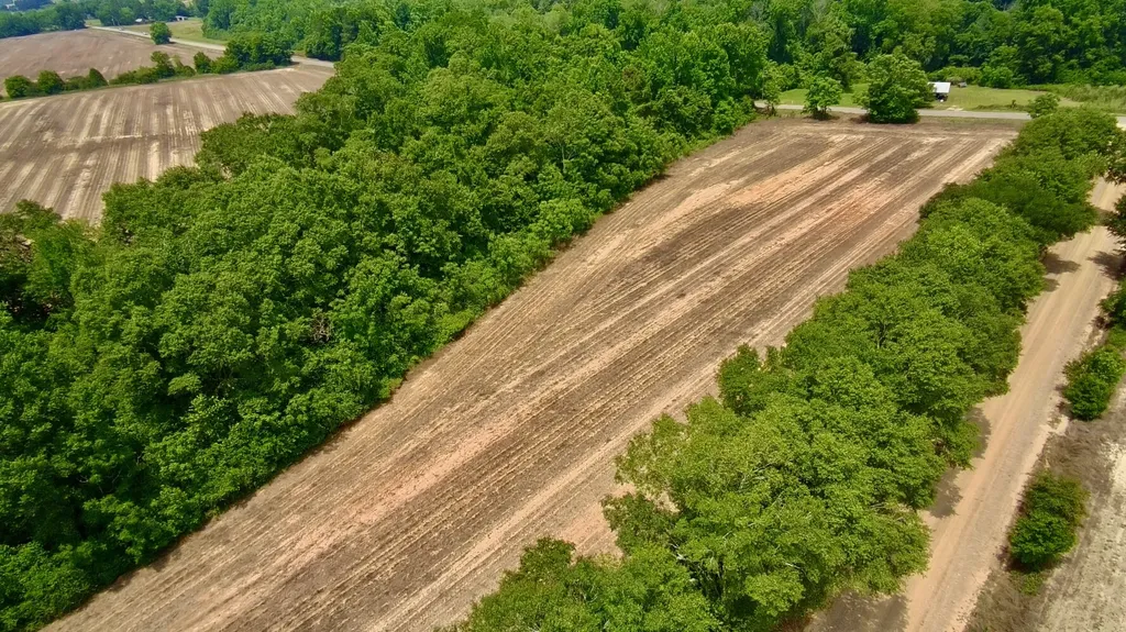 0 Rocky Creek Road Ashford AL 36312