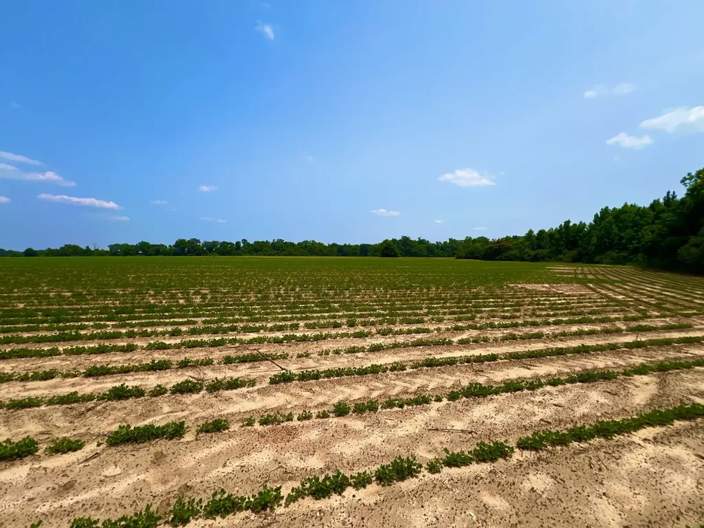 0 Rocky Creek Road Ashford AL 36312