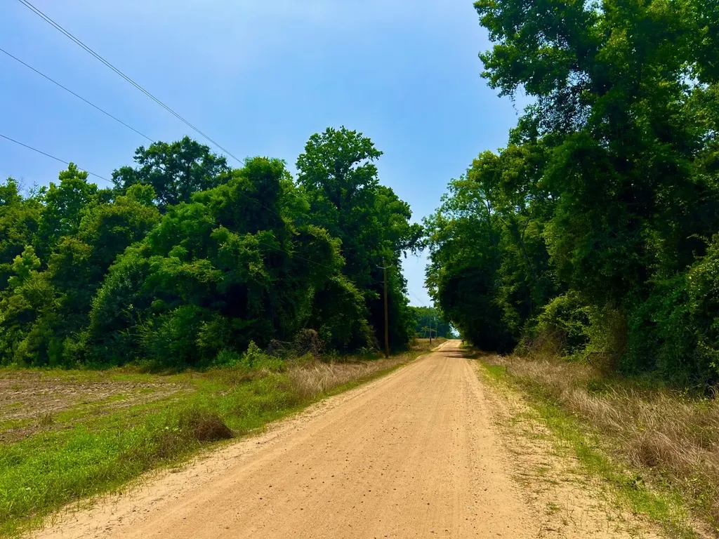 0 Rocky Creek Road Ashford AL 36312