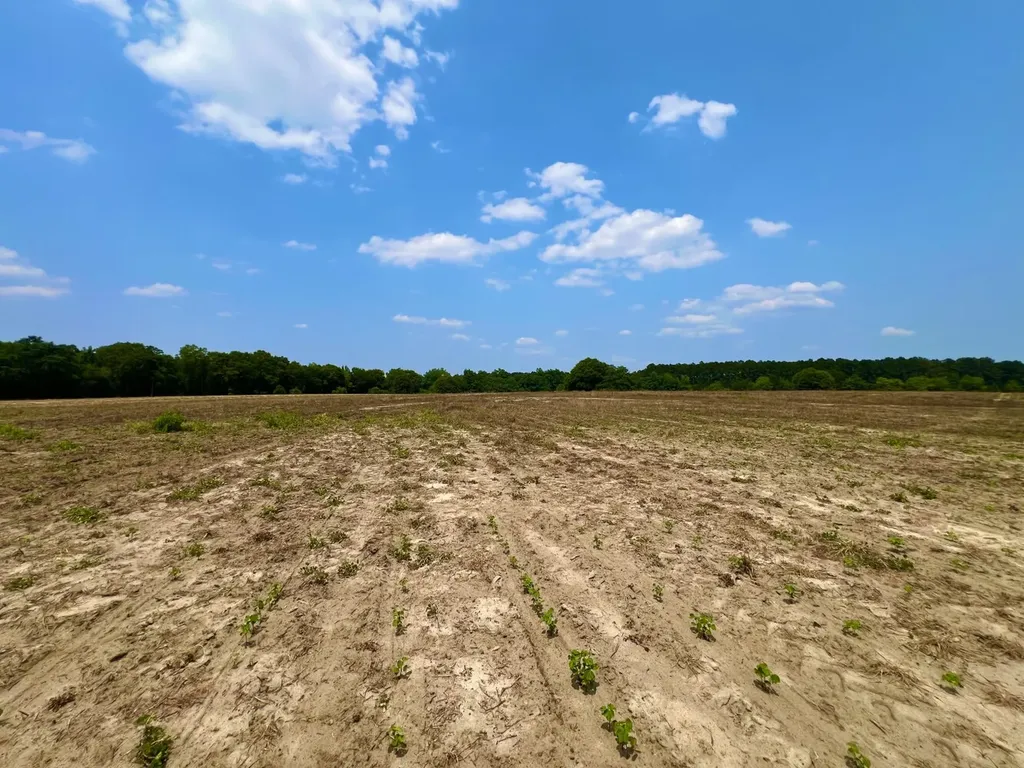 0 Rocky Creek Road Ashford AL 36312