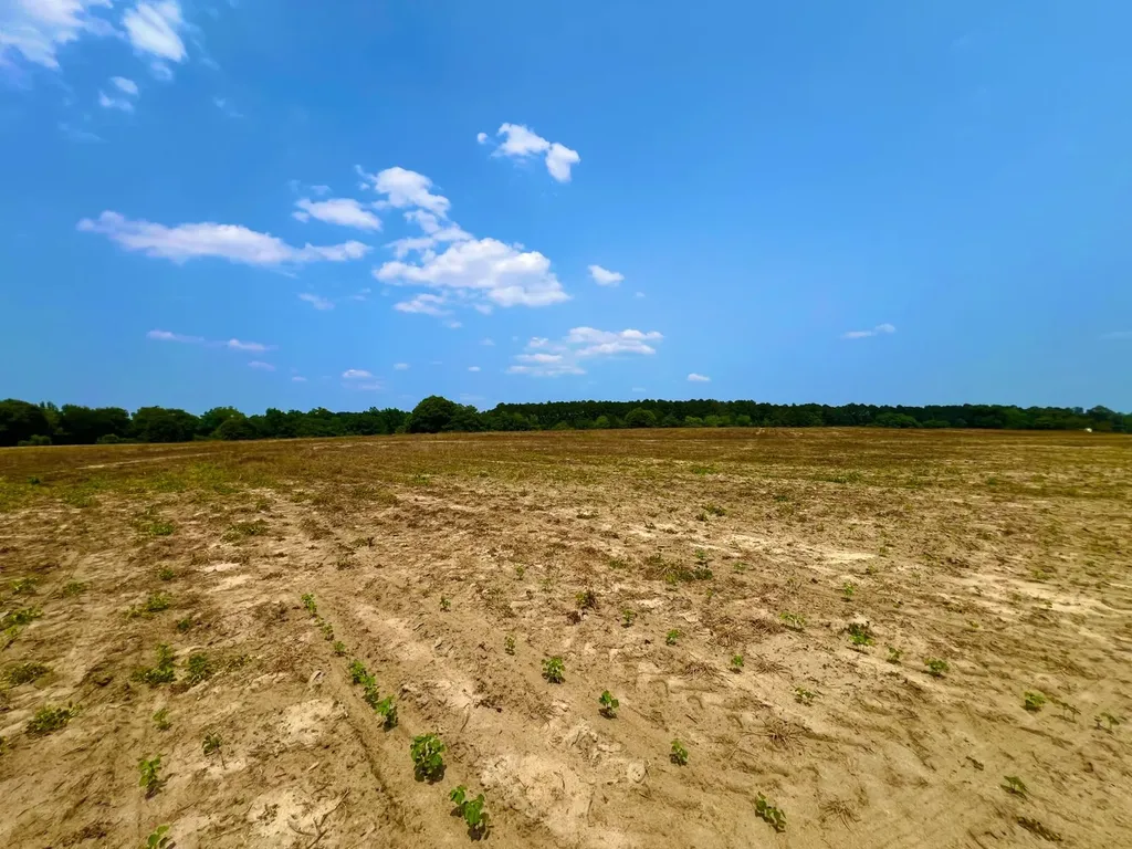 0 Rocky Creek Road Ashford AL 36312