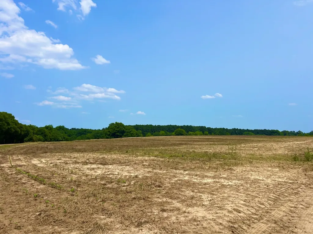 0 Rocky Creek Road Ashford AL 36312