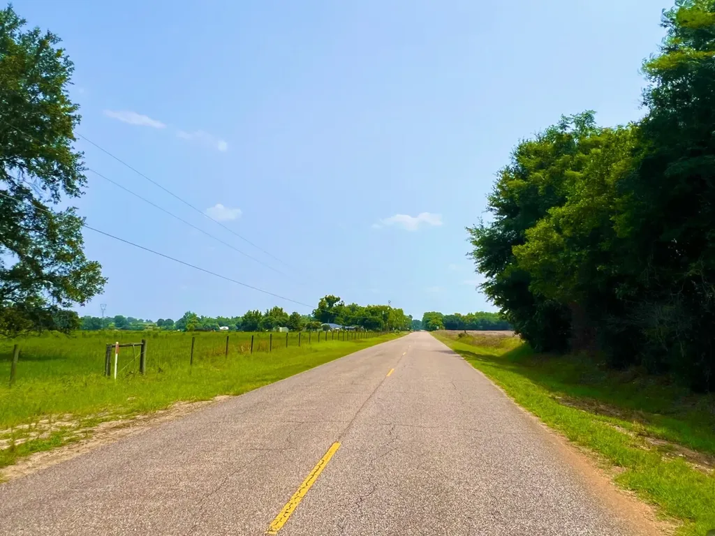 0 Rocky Creek Road Ashford AL 36312