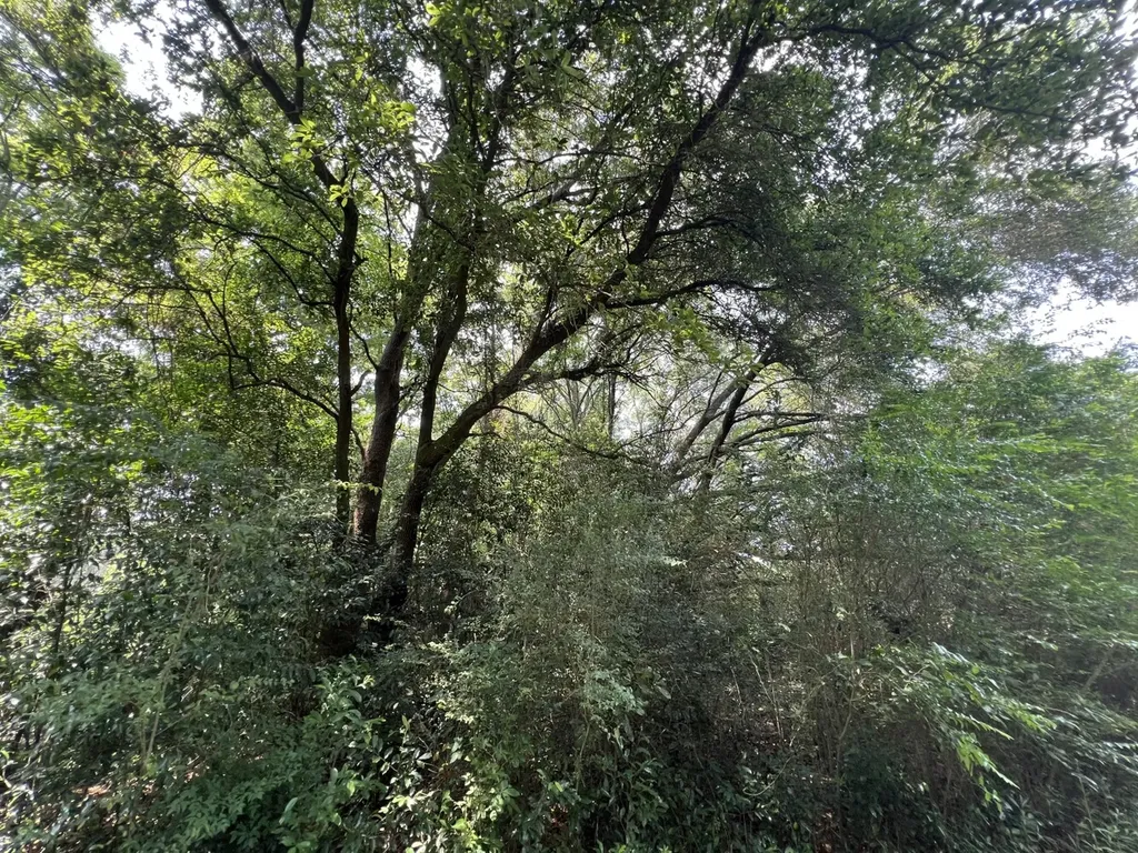 0 Rocky Creek Road Ashford AL 36312