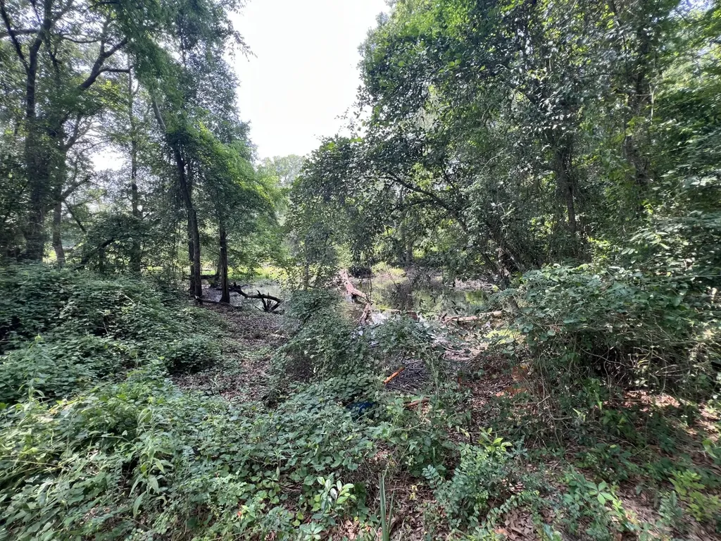 0 Rocky Creek Road Ashford AL 36312