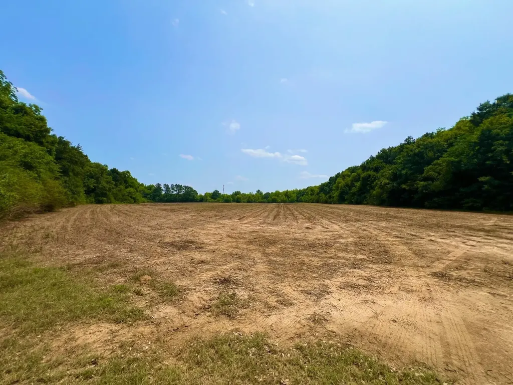 0 Rocky Creek Road Ashford AL 36312