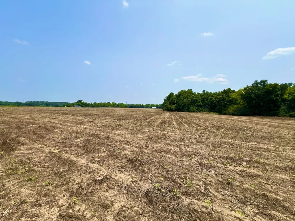 0 Rocky Creek Road Ashford AL 36312