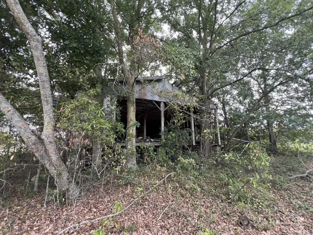 0 Rocky Creek Road Ashford AL 36312