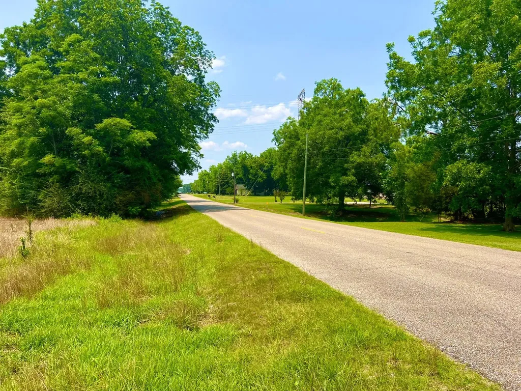 0 Rocky Creek Road Ashford AL 36312