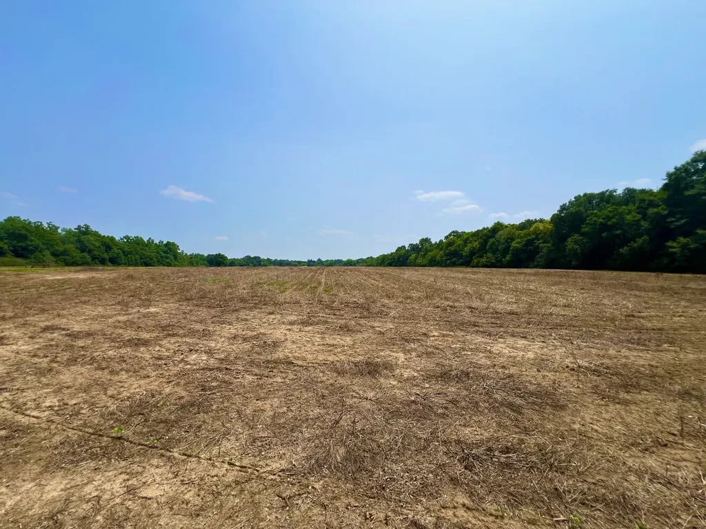 0 Rocky Creek Road Ashford AL 36312