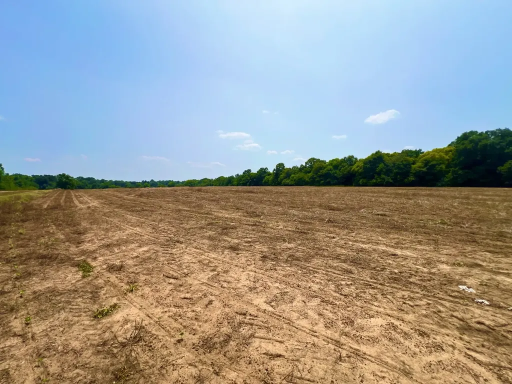 0 Rocky Creek Road Ashford AL 36312