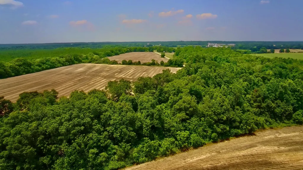 0 Rocky Creek Road Ashford AL 36312