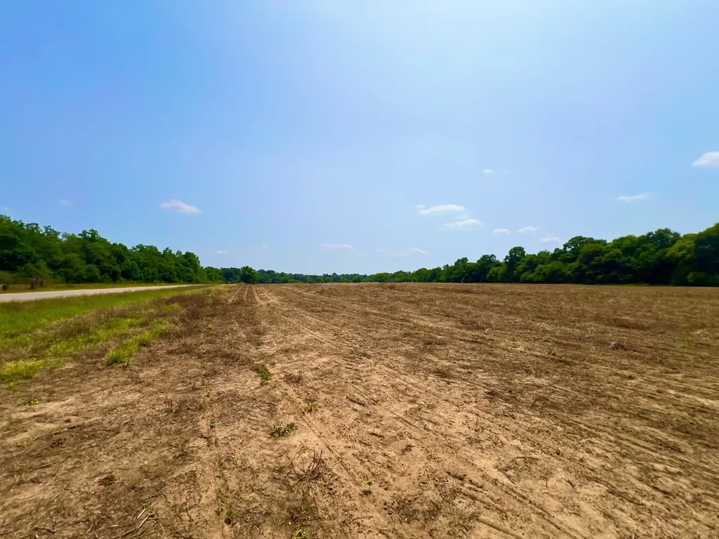 0 Rocky Creek Road Ashford AL 36312