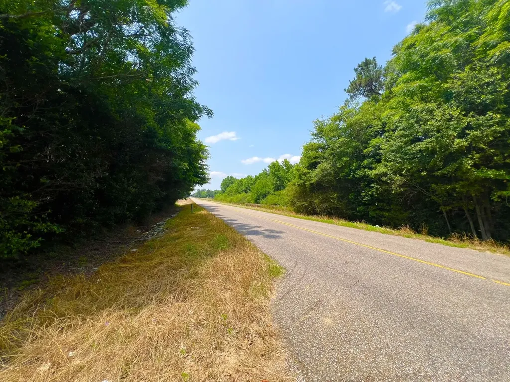 0 Rocky Creek Road Ashford AL 36312