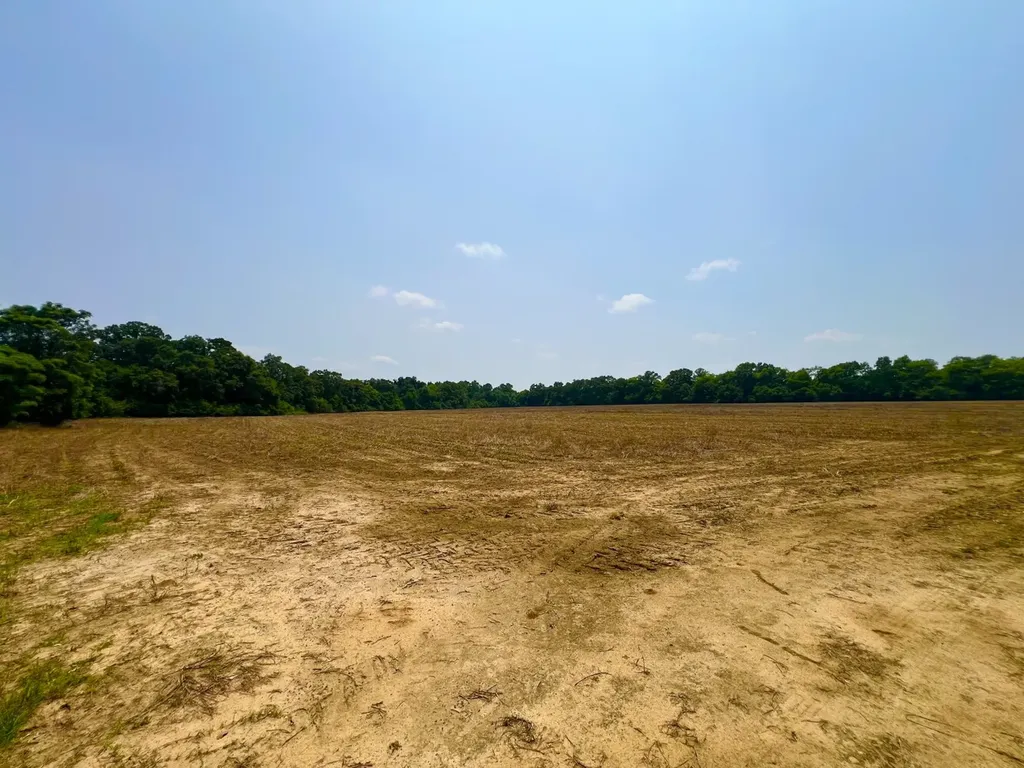 0 Rocky Creek Road Ashford AL 36312