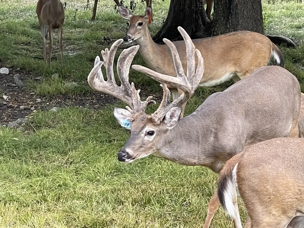 6040 Highway 28 E Pine Apple AL 36768