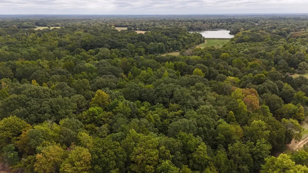 6040 Highway 28 E Pine Apple AL 36768