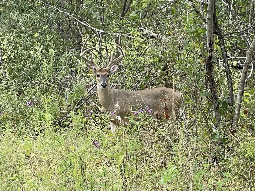 6040 Highway 28 E Pine Apple AL 36768