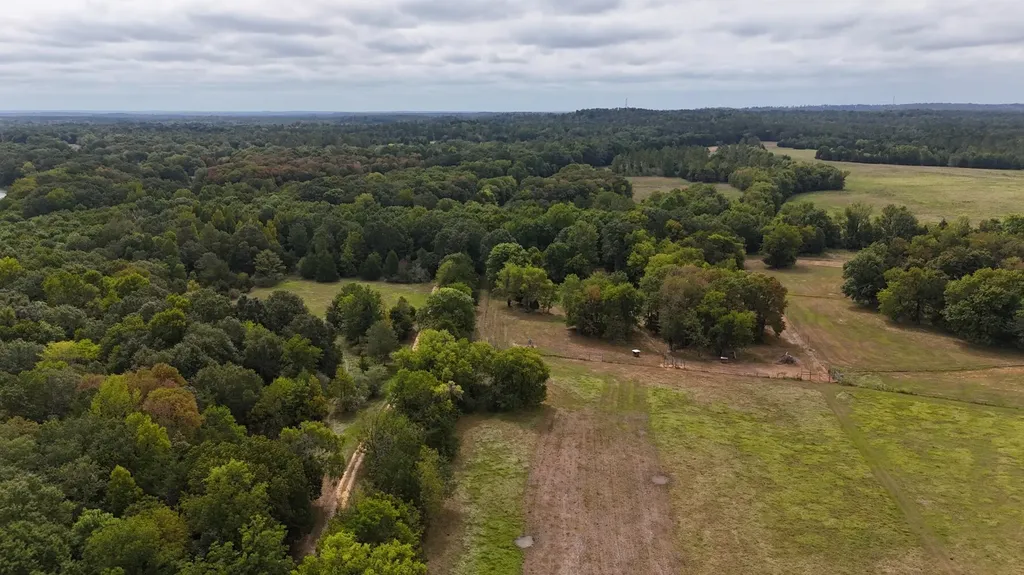 6040 Highway 28 E Pine Apple AL 36768