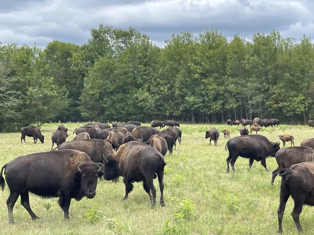 6040 Highway 28 E Pine Apple AL 36768