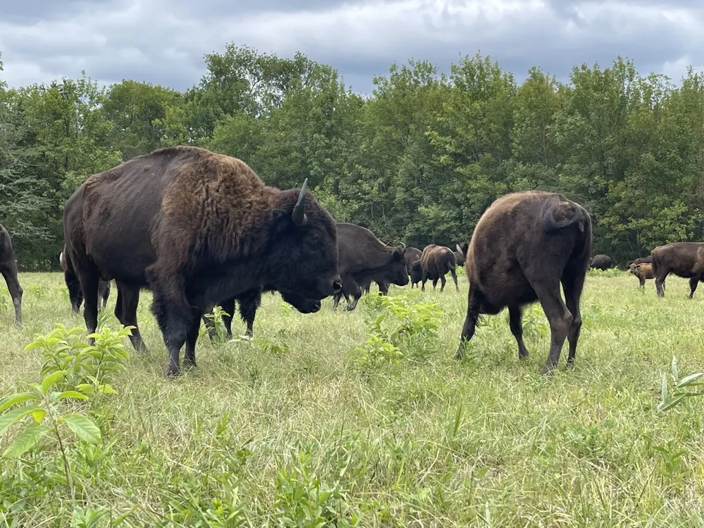 6040 Highway 28 E Pine Apple AL 36768