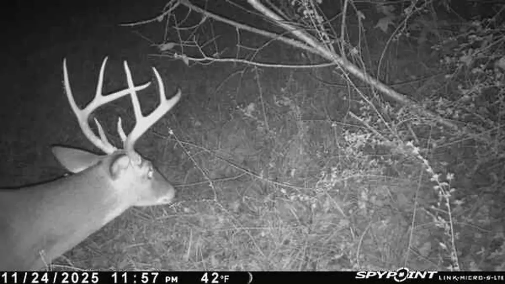 000 Private Road Berry Road Valley Grande AL 36701