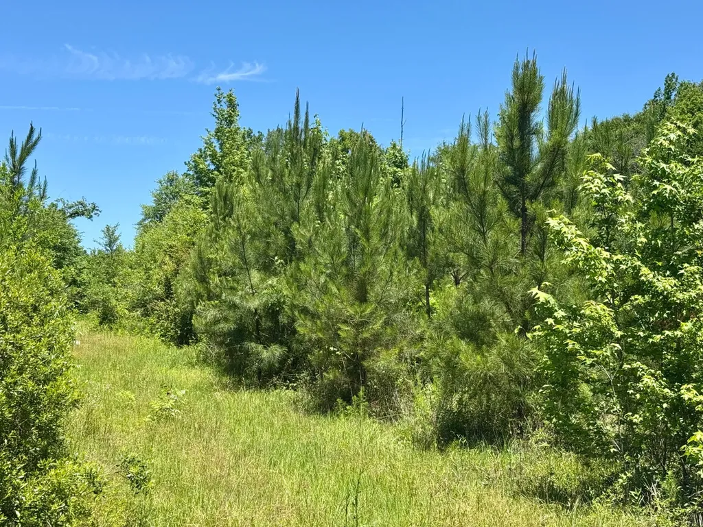 000 Private Road Berry Road Valley Grande AL 36701