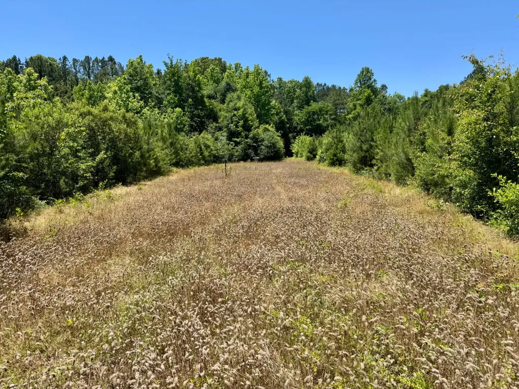 000 Private Road Berry Road Valley Grande AL 36701