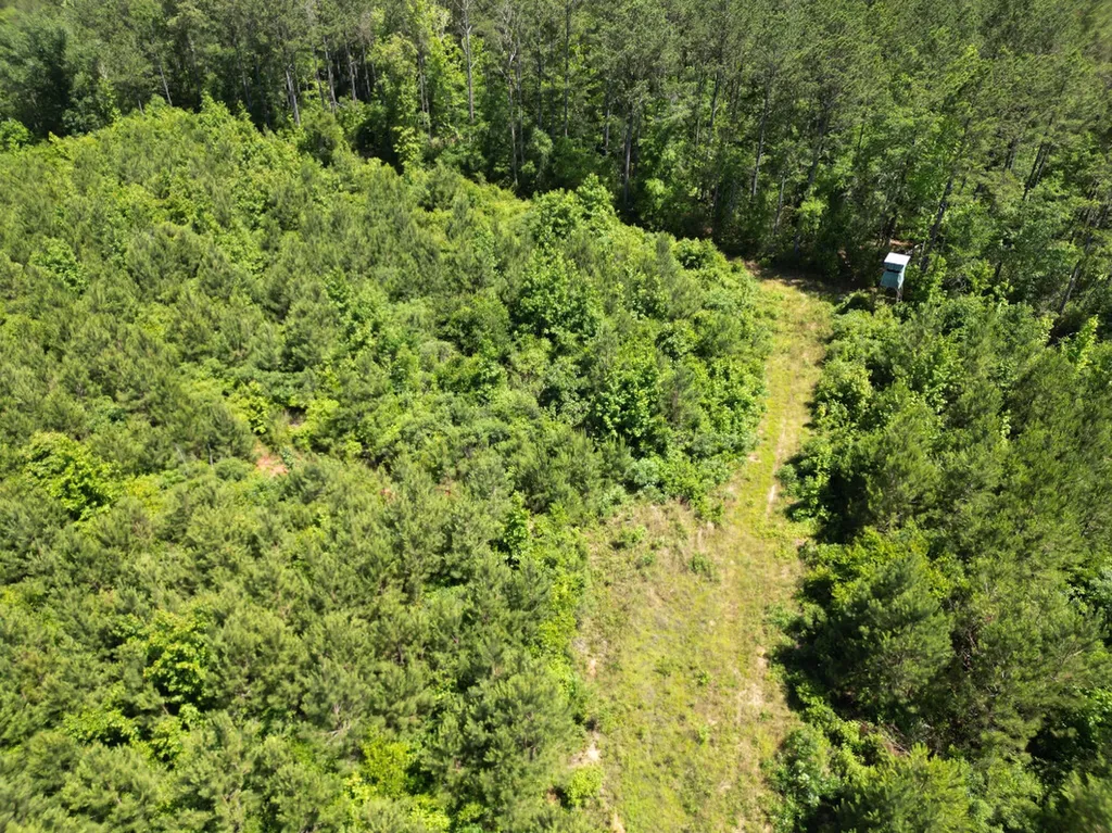 000 Private Road Berry Road Valley Grande AL 36701