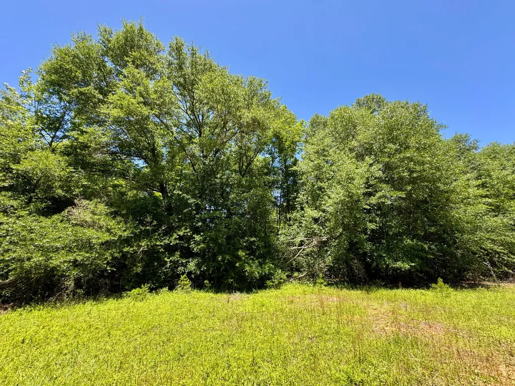 000 Private Road Berry Road Valley Grande AL 36701