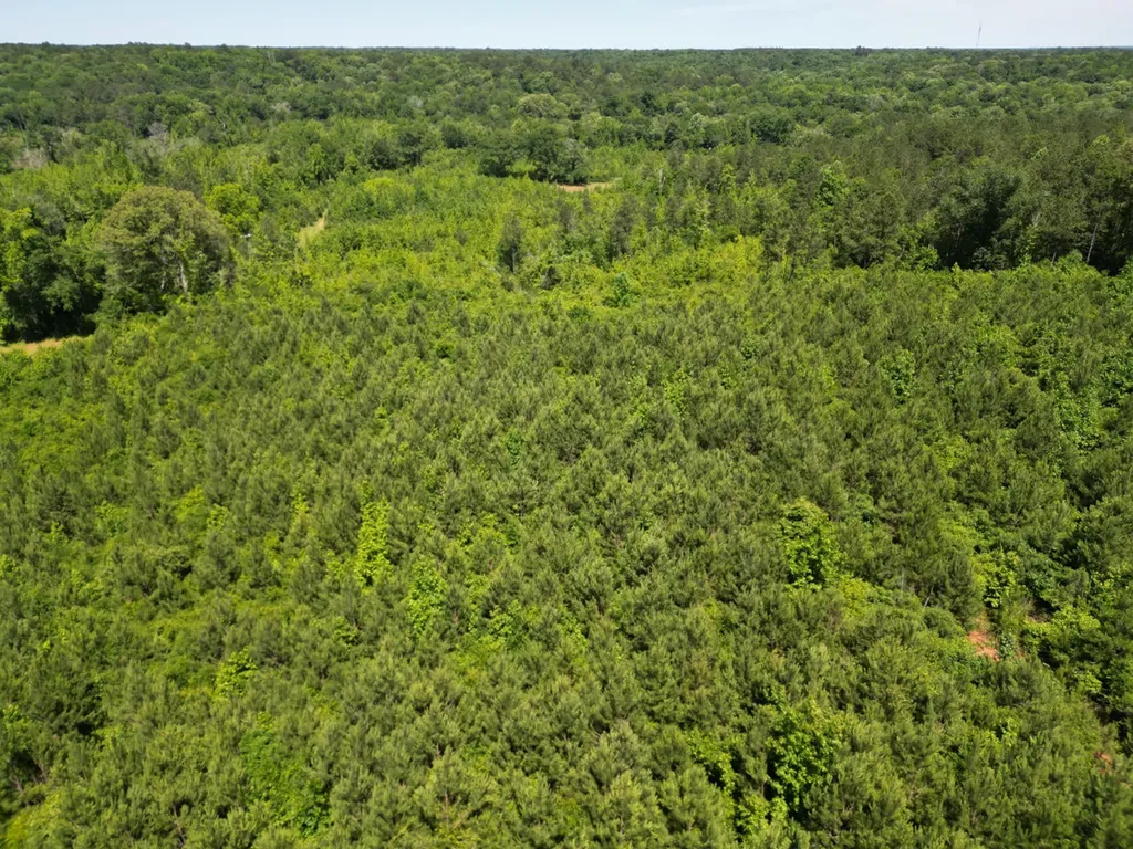 000 Private Road Berry Road Valley Grande AL 36701