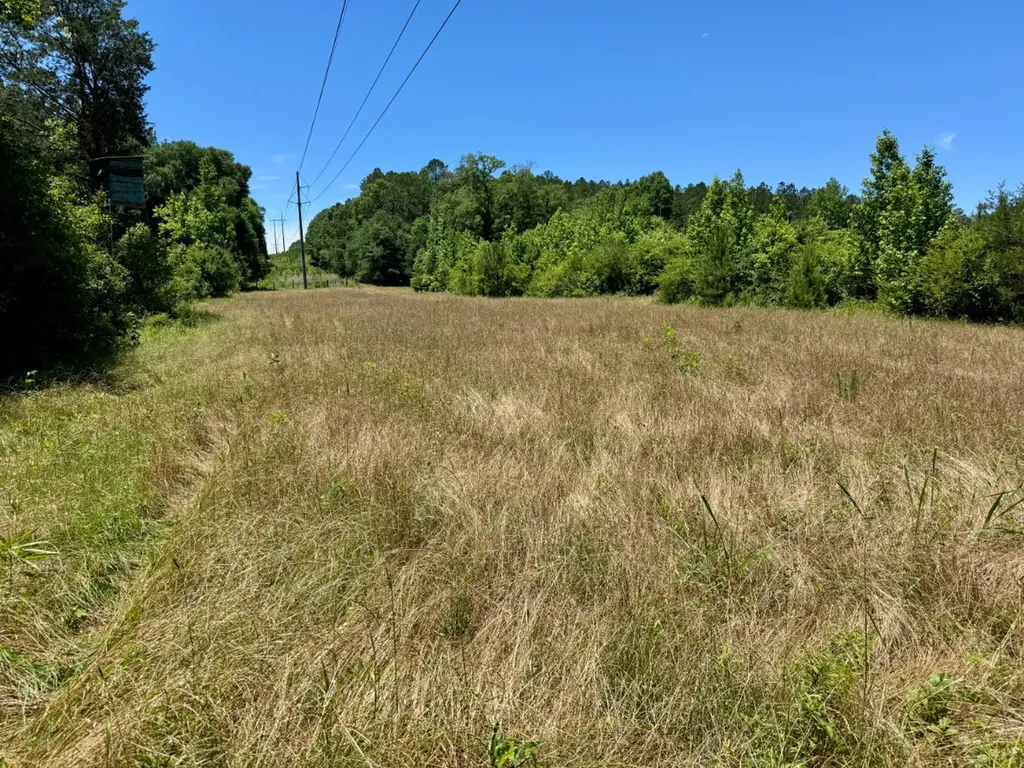 000 Private Road Berry Road Valley Grande AL 36701