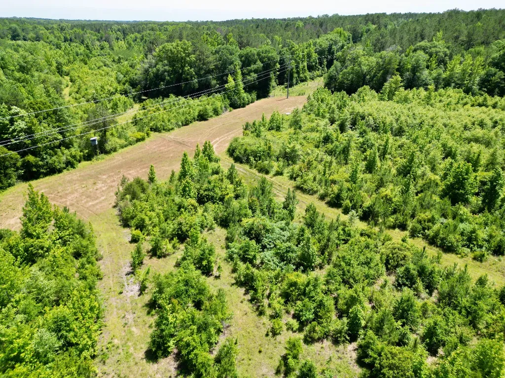 000 Private Road Berry Road Valley Grande AL 36701