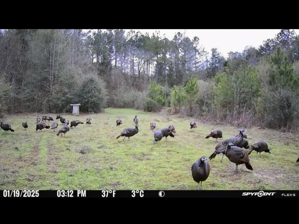 000 Private Road Berry Road Valley Grande AL 36701