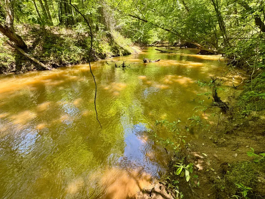 000 Private Road Berry Road Valley Grande AL 36701