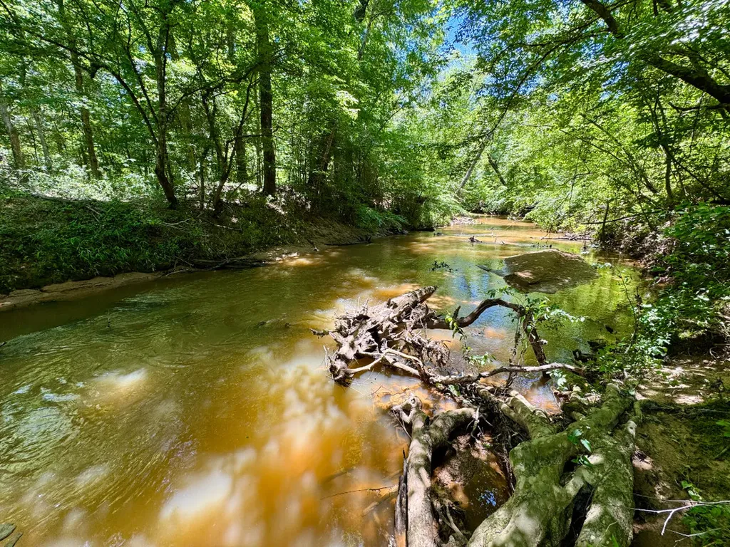 000 Private Road Berry Road Valley Grande AL 36701