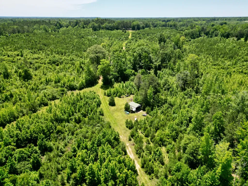 000 Private Road Berry Road Valley Grande AL 36701