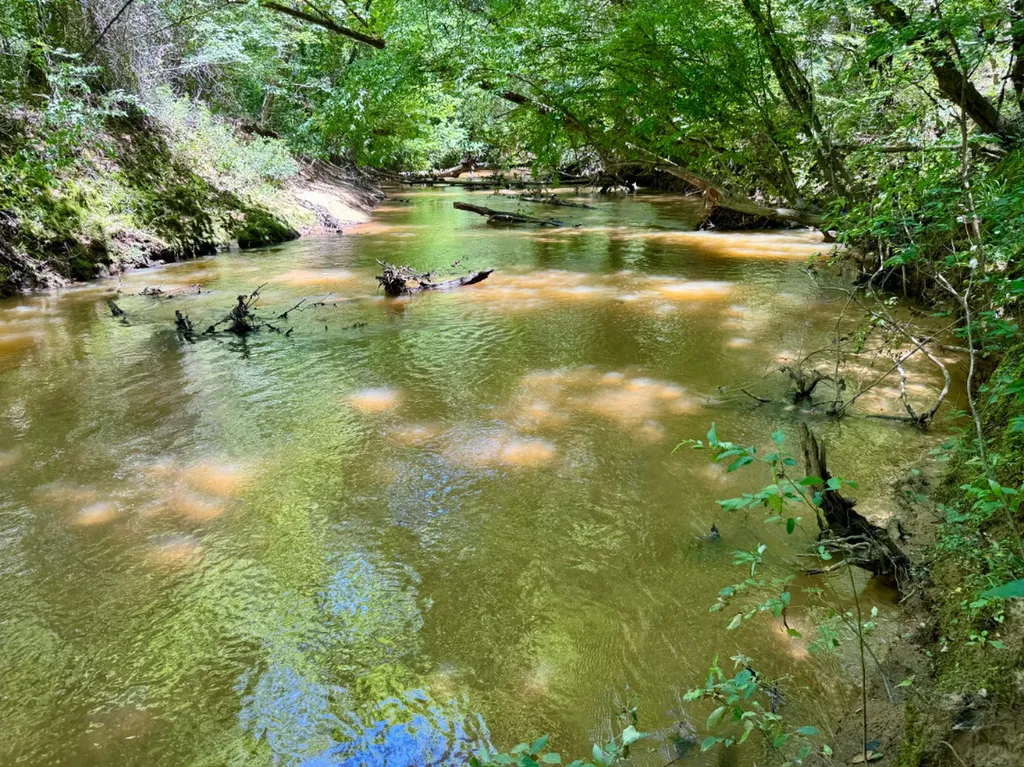 000 Private Road Berry Road Valley Grande AL 36701