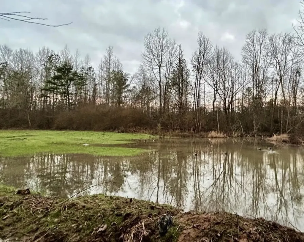 000 Private Road Berry Road Valley Grande AL 36701