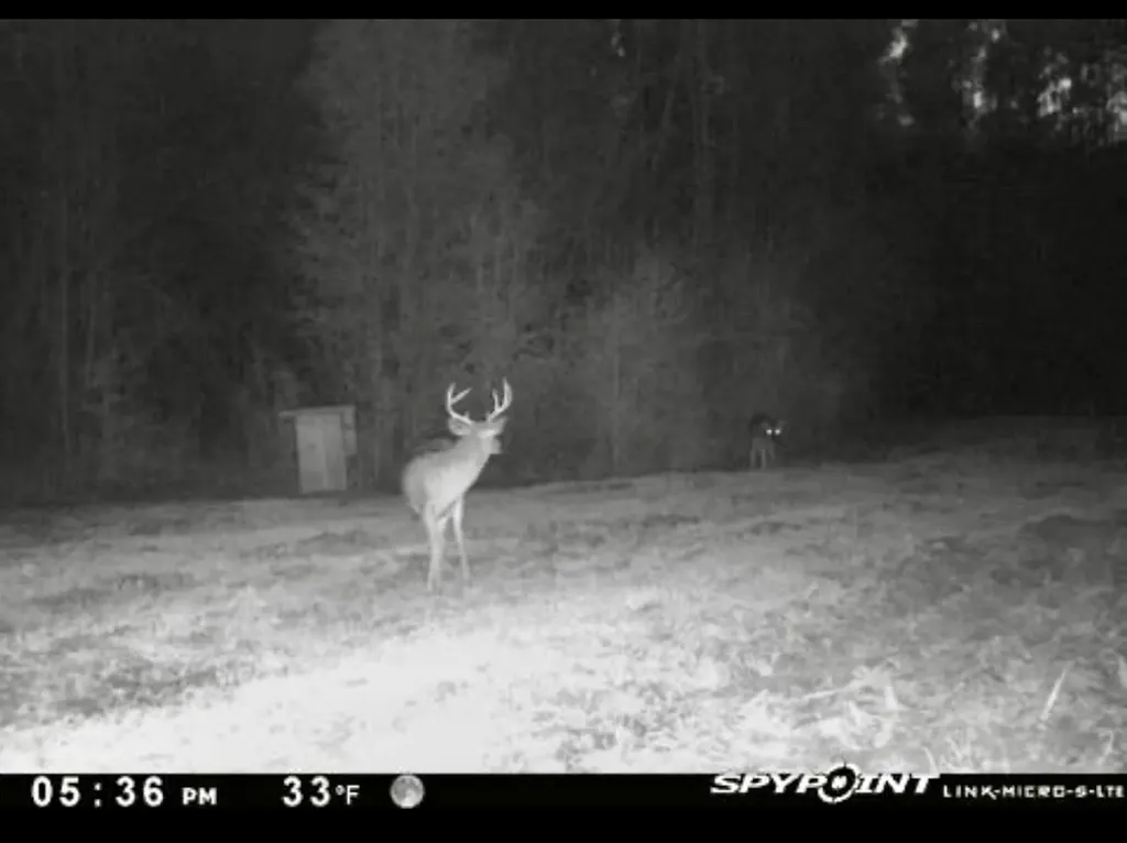 000 Private Road Berry Road Valley Grande AL 36701