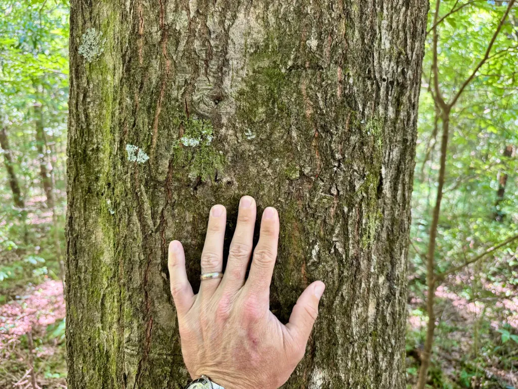 000 Private Road Berry Road Valley Grande AL 36701