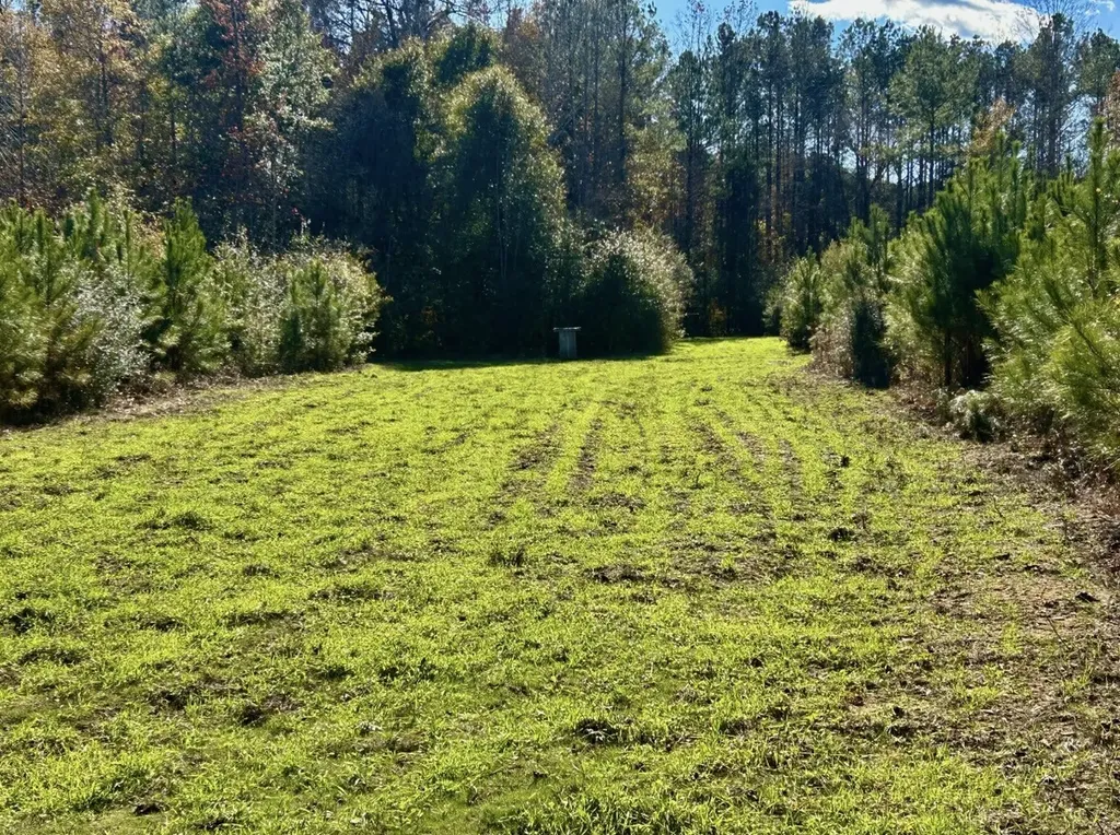 000 Private Road Berry Road Valley Grande AL 36701