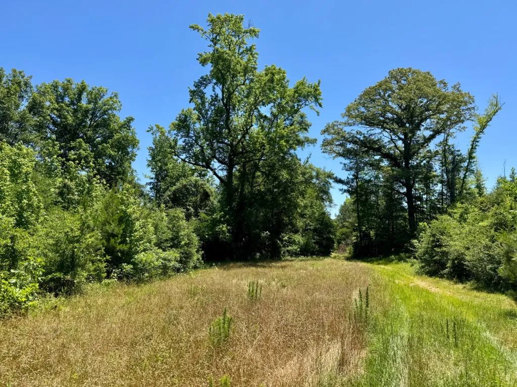 000 Private Road Berry Road Valley Grande AL 36701