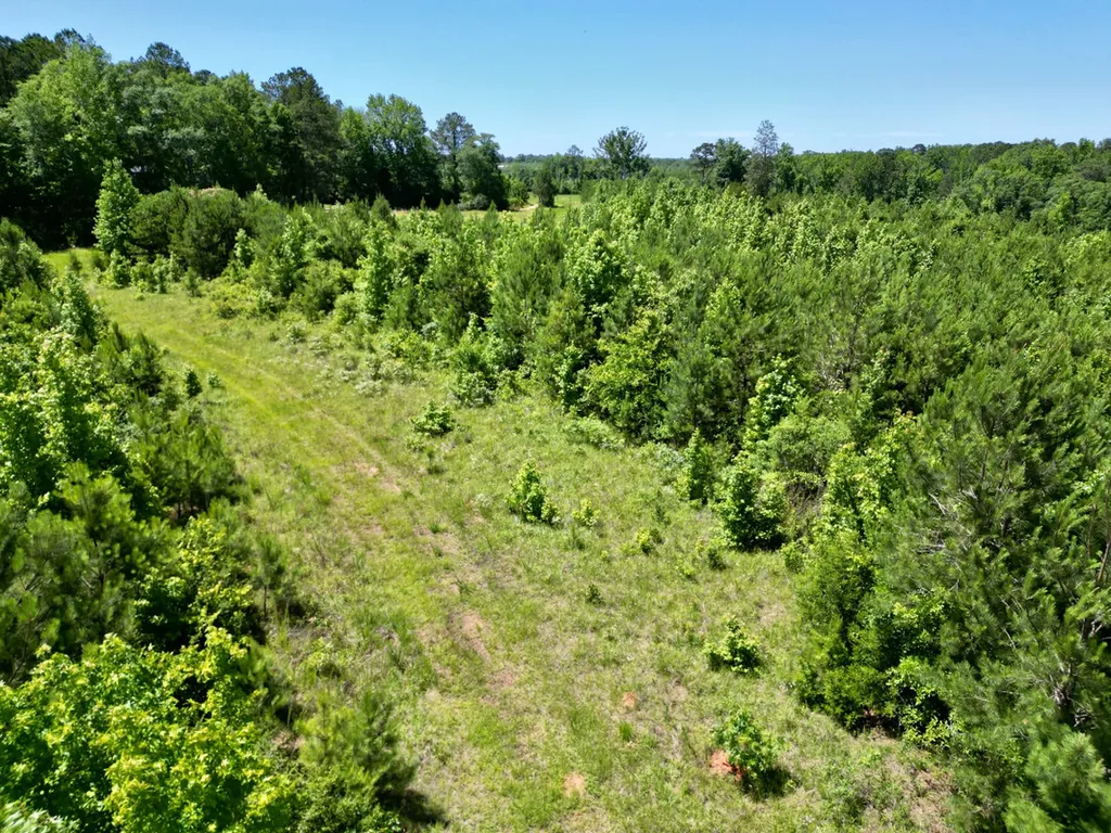 000 Private Road Berry Road Valley Grande AL 36701