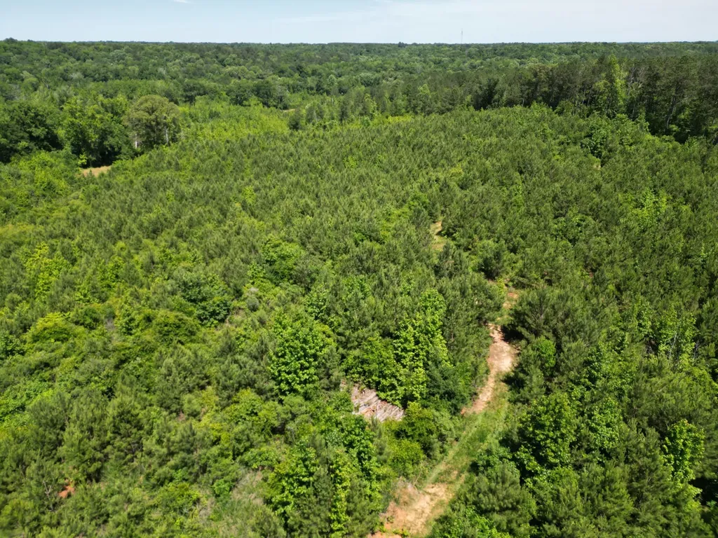 000 Private Road Berry Road Valley Grande AL 36701