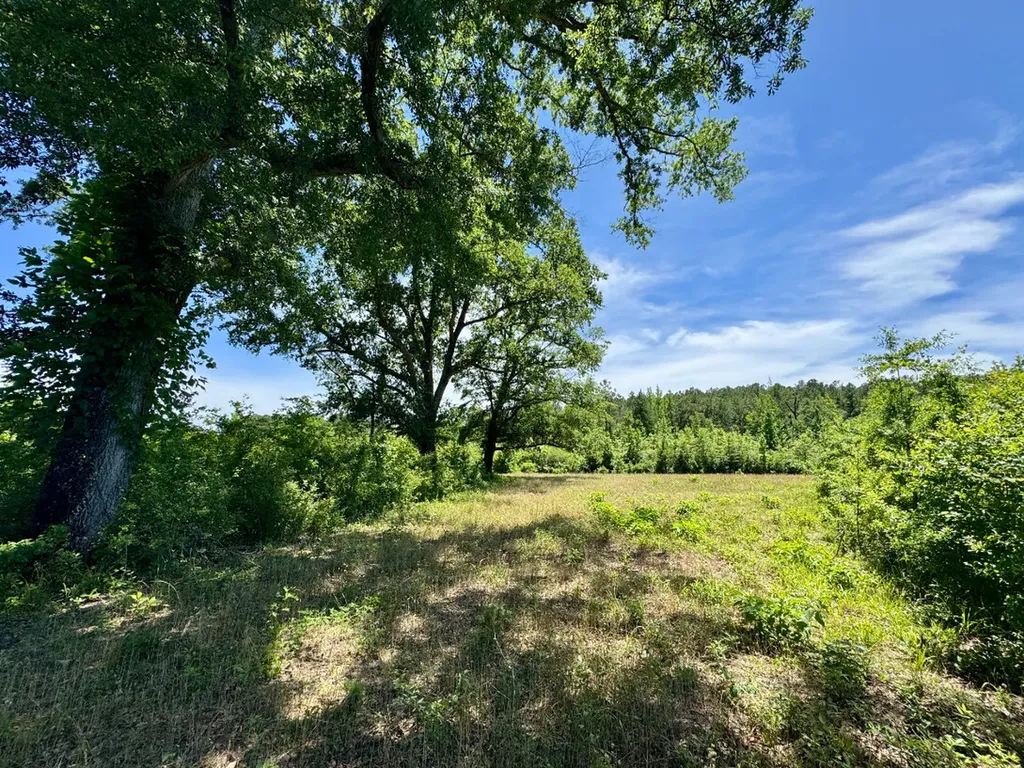 000 Private Road Berry Road Valley Grande AL 36701