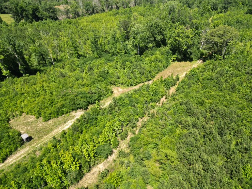 000 Private Road Berry Road Valley Grande AL 36701