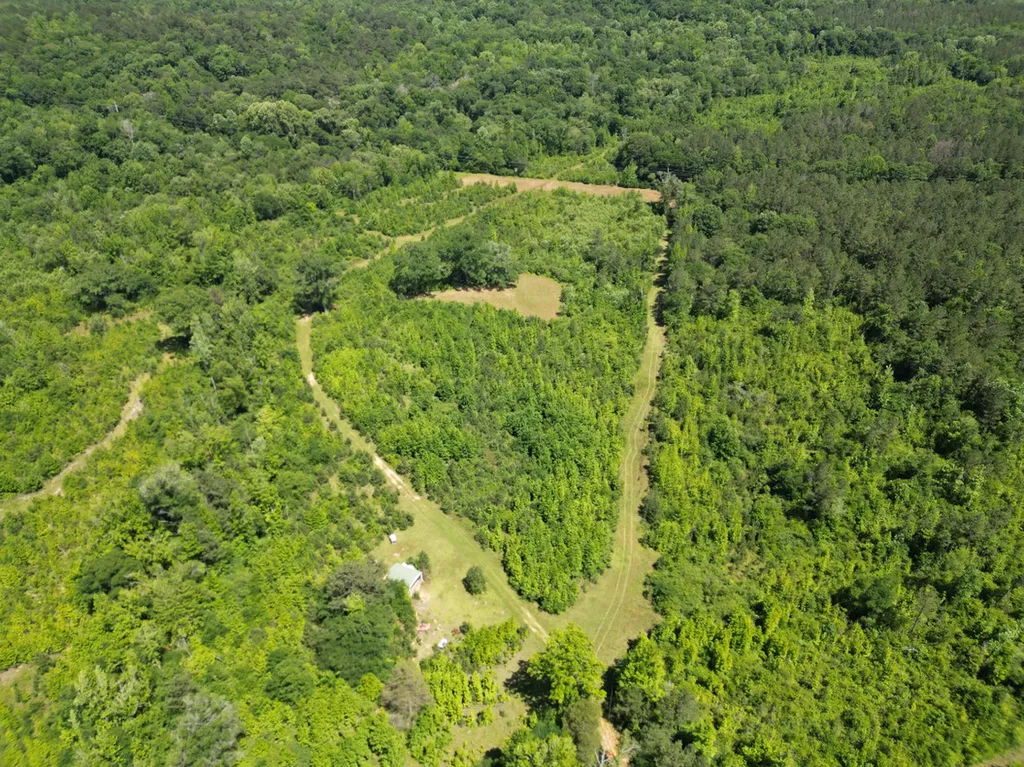 000 Private Road Berry Road Valley Grande AL 36701