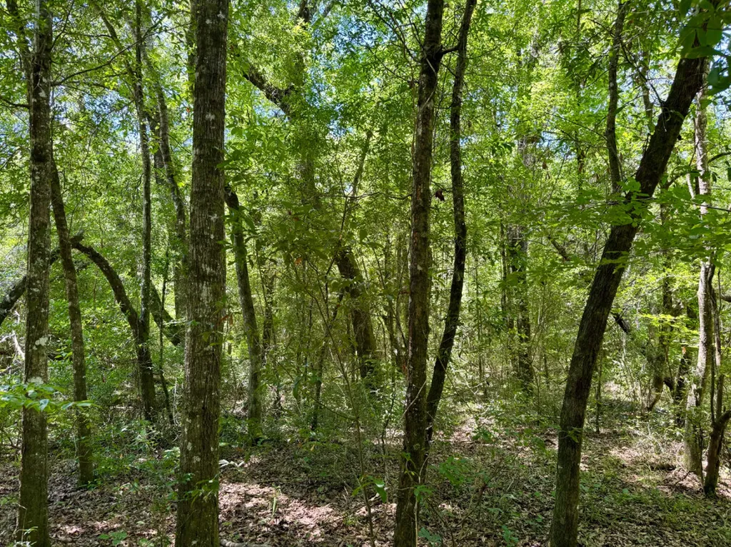 000 Private Road Berry Road Valley Grande AL 36701